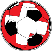 Switzerland Soccer Ball Car Magnet