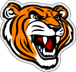 Tiger Head Car Magnet