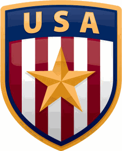 USA Shield Car Magnet
