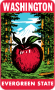 Washington Evergreen State Travel Decal Magnet