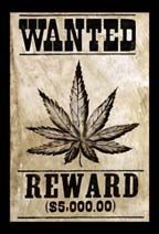 Weed Wanted Poster Magnet