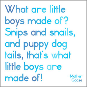 What Are Little Boys Made of Quotable Cards