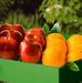 Apples & Oranges Oh My! Fruit Gift Box