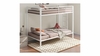 Alevera Metal Twin over Twin Bunk Bed with Ladder