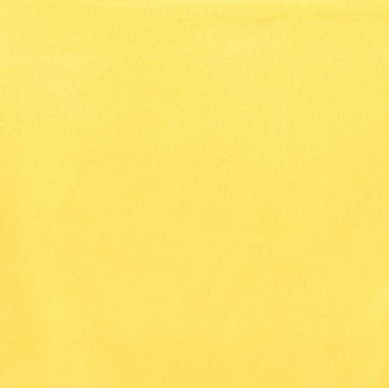 Dublin Laser Lemon Futon Cover