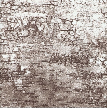 Birch Bark Futon Cover