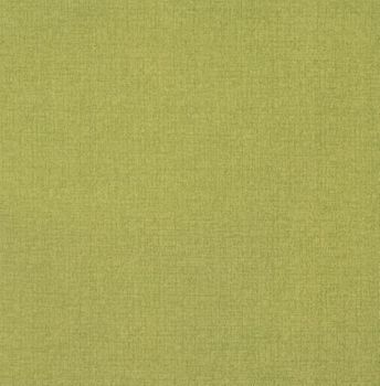 Batiste Leaf Outdoor / Performance Fabrics / Solarium Futon Cover