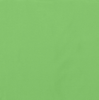 Dublin Jungle Green Futon Cover