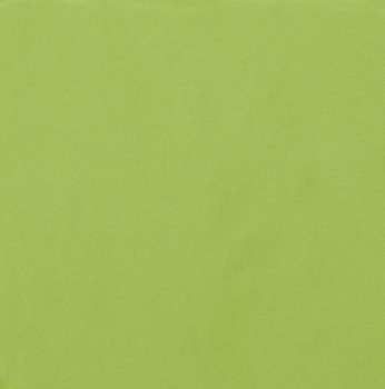 Dublin Spring Green Futon Cover