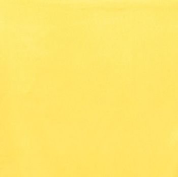 Dublin Laser Lemon Futon Cover