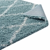Shag Rugs