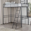 Myles Twin Metal Loft Bed with Angled Ladder