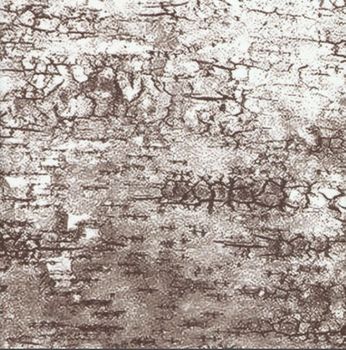 Birch Bark Futon Cover