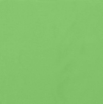 Dublin Jungle Green Futon Cover