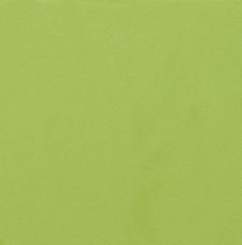 Dublin Spring Green Futon Cover