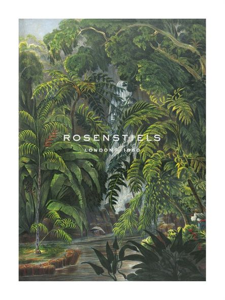 19th Century English School Hand Numbered Limited Edition Print on Paper :"Jungle Cascade"