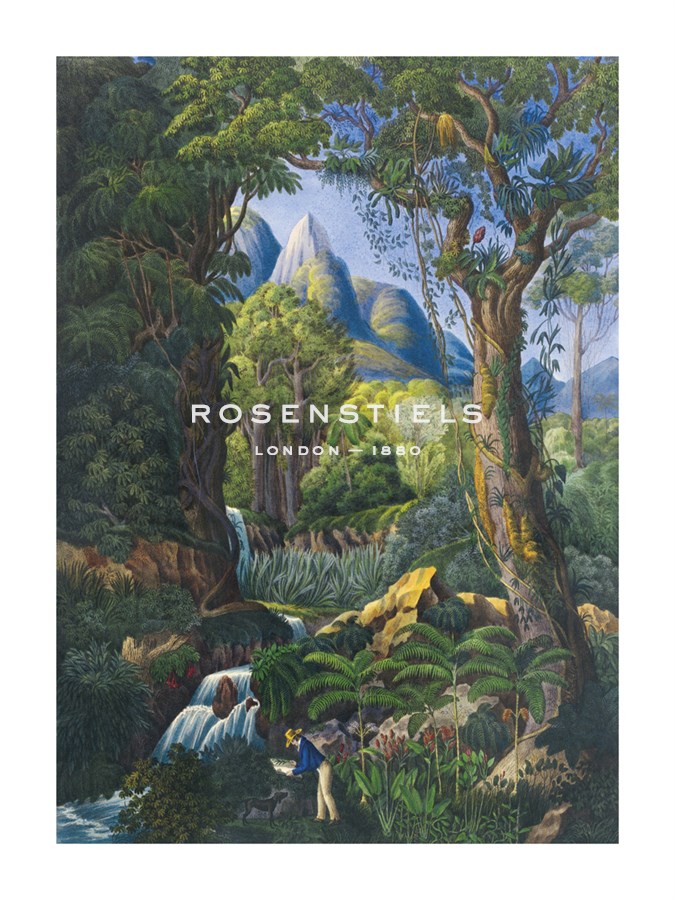 19th Century English School Hand Numbered Limited Edition Print on Paper :"The Botanist"