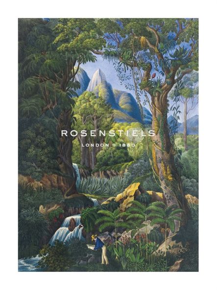 19th Century English School Hand Numbered Limited Edition Print on Paper :"The Botanist"