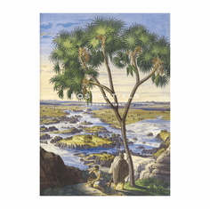 Gallerydirectart