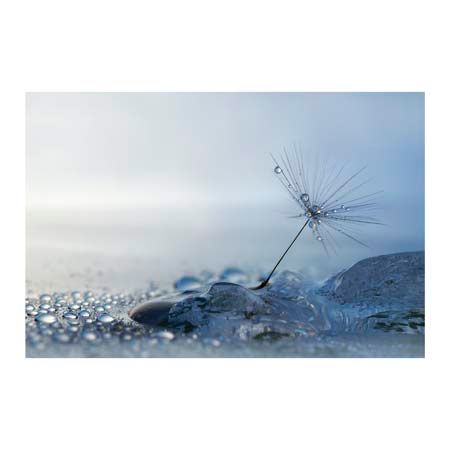1x Collection Open Edition Canvas Giclee :"A Blue Morning" 1x Collection Open Edition Canvas Giclee :"A Blue Morning"