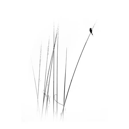 1x Collection Open Edition Canvas Giclee :"A Sabbatical" 1x Collection Open Edition Canvas Giclee :"A Sabbatical"