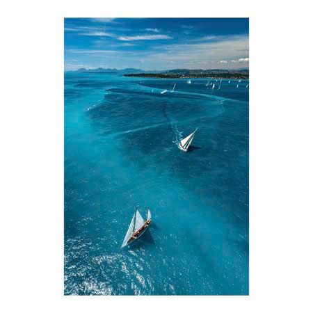 1x Collection Open Edition Canvas Giclee :"Above the Race"