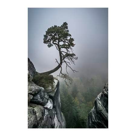 1x Collection Open Edition Canvas Giclee :"Against the Odds"