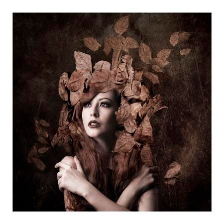 1x Collection Open Edition Canvas Giclee :"Artemis"