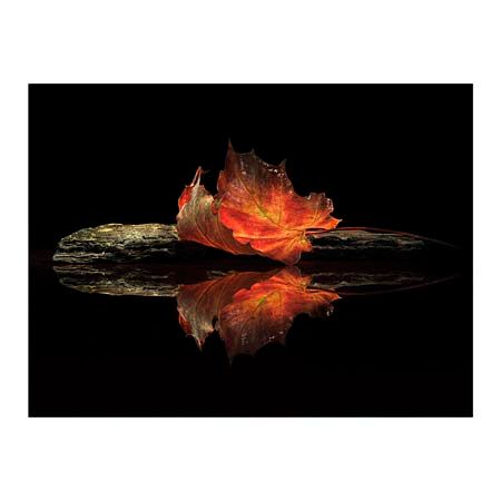 1x Collection Open Edition Canvas Giclee :"Autumn Colors"