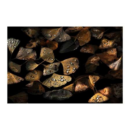 1x Collection Open Edition Canvas Giclee :"Autumn Still Life" 1x Collection Open Edition Canvas Giclee :"Autumn Still Life"