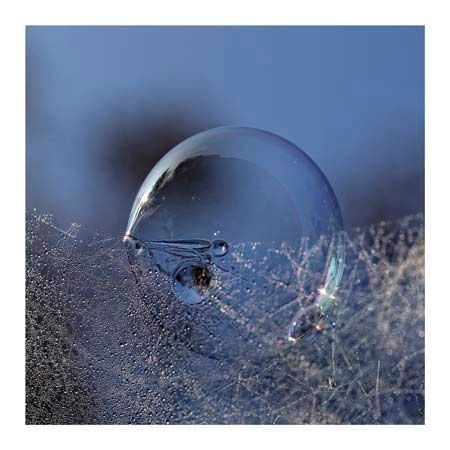 1x Collection Open Edition Canvas Giclee :"Blue Bubble Morning"