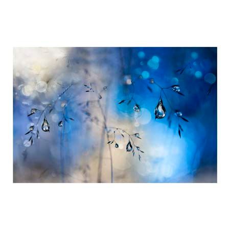 1x Collection Open Edition Canvas Giclee :"Blue Rain"