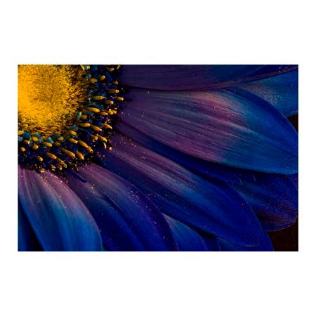 1x Collection Open Edition Canvas Giclee :"Blue Rays"
