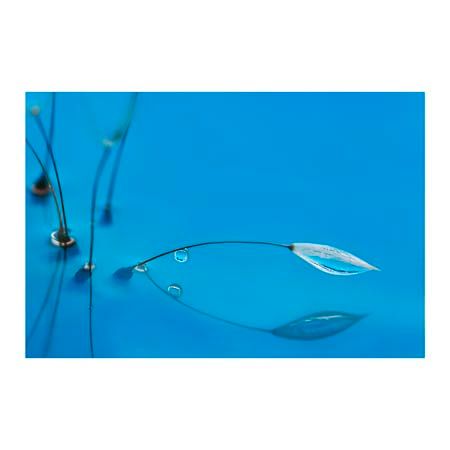 1x Collection Open Edition Canvas Giclee :"Blue Water"
