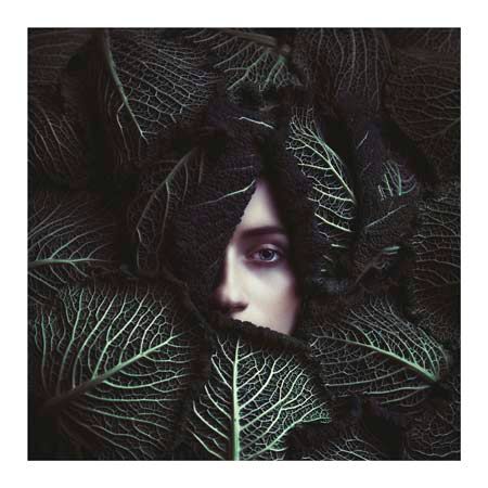 1x Collection Open Edition Canvas Giclee :"Cabbage"