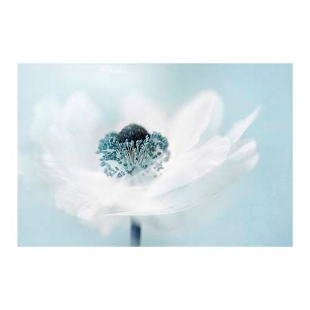 1x Collection Open Edition Canvas Giclee :"Candy Floss" 1x Collection Open Edition Canvas Giclee :"Candy Floss"