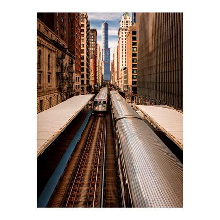 1x Collection Open Edition Canvas Giclee :"Center of Attention"