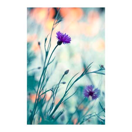 1x Collection Open Edition Canvas Giclee :"Colors Game II"