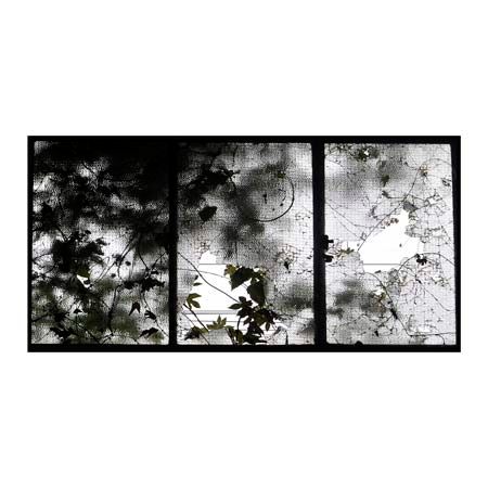 1x Collection Open Edition Canvas Giclee :"Contact Sheet"