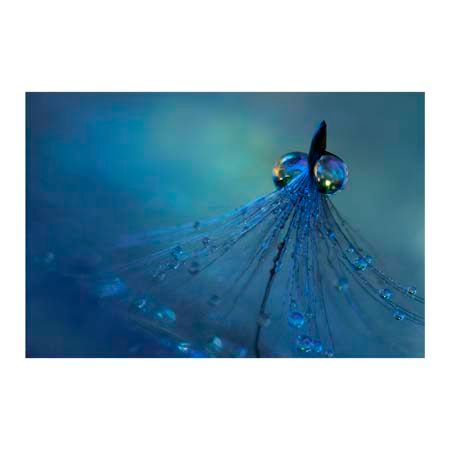 1x Collection Open Edition Canvas Giclee :"Dancing Into the Blue Night"