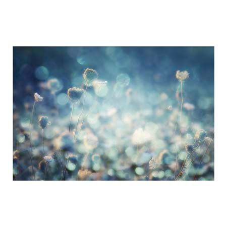 1x Collection Open Edition Canvas Giclee :"Diamonds"