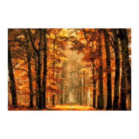 1x Collection Open Edition Canvas Giclee :"Exit the Portal" 1x Collection Open Edition Canvas Giclee :"Exit the Portal"