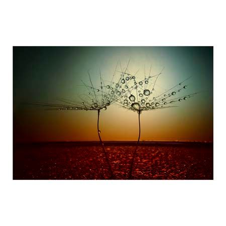 1x Collection Open Edition Canvas Giclee :"Fire and Water"