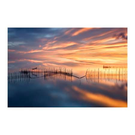 1x Collection Open Edition Canvas Giclee :"Fishnets"