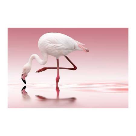 1x Collection Open Edition Canvas Giclee :"Flamingo"