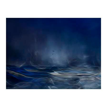 1x Collection Open Edition Canvas Giclee :"Fly Away"