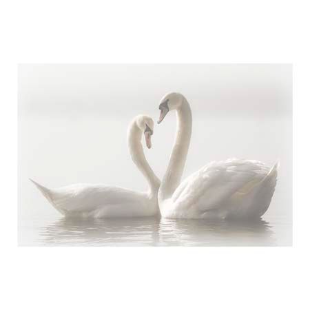 1x Collection Open Edition Canvas Giclee :"Forever"