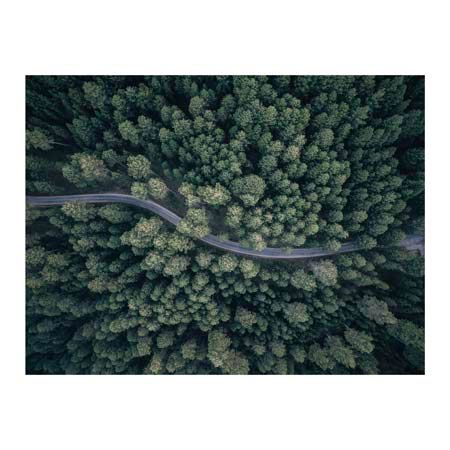 1x Collection Open Edition Canvas Giclee :"From Above"