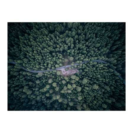 1x Collection Open Edition Canvas Giclee :"From Above III"