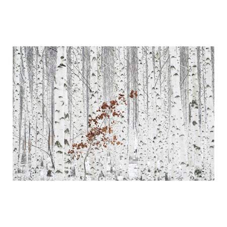 1x Collection Open Edition Canvas Giclee :"From White"